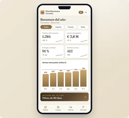 Mockup de Distribución técnica, vista de móvil